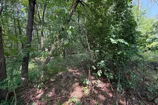 21920 County 2, Nevis, MN 56467 - Photo 29