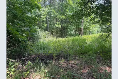21920 County 2, Nevis, MN 56467 - Photo 27