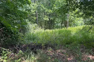 21920 County 2, Nevis, MN 56467 - Photo 27