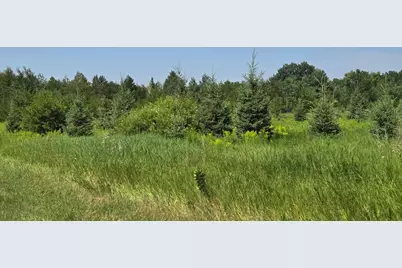 Tbd County Road 7, Verndale, MN 56481 - Photo 9