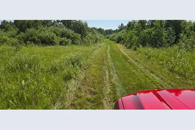 Tbd County Road 7, Verndale, MN 56481 - Photo 5