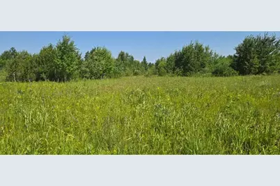 Tbd County Road 7, Verndale, MN 56481 - Photo 7