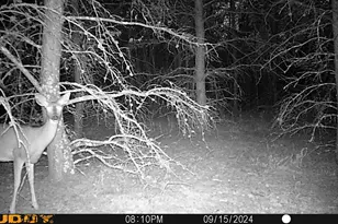 4130 4th St NW, Backus, MN 56435 - Photo 35