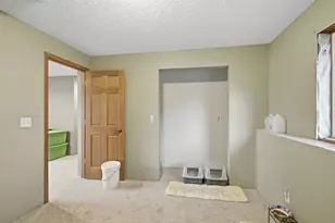 420 Moline Loop NW, Isanti, MN 55040 - Photo 27