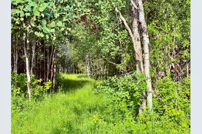 Tbd 21st Ave SW, Baudette, MN 56623 - Photo 1
