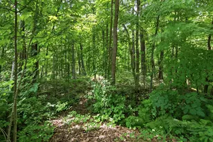 1314N County Hwy F, Birchwood, WI 54817 - Photo 31