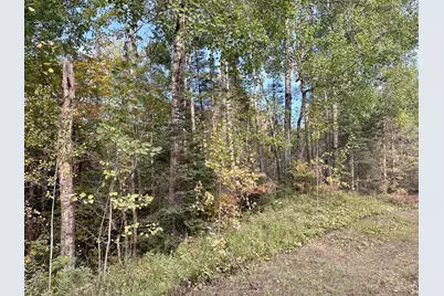 Tbd Old Vermilion Trail, Duluth, MN 55803 - Photo 13