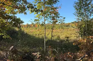4381 See Gull Cove, Brainerd, MN 56401 - Photo 27