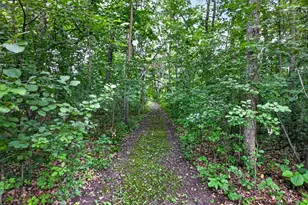 9661 County Road 11 NE, Alexandria, MN 56308 - Photo 15