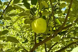 26957 State Hwy 65, Pengilly, MN 55775 - Photo 47