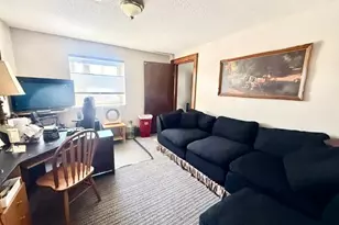 202 N Cass Ave, Springfield, MN 56087 - Photo 15
