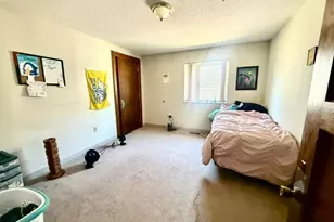 202 N Cass Ave, Springfield, MN 56087 - Photo 25