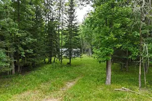 42228 Co Rd 234, Cohasset, MN 55721 - Photo 1