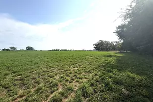 Tbd County Road 7, Howard Lake, MN 55349 - Photo 1