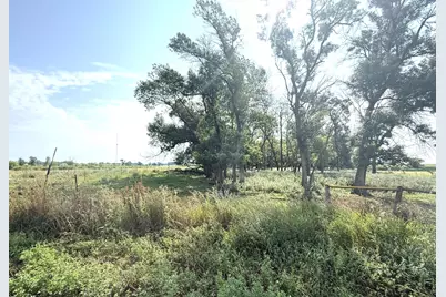 Tbd County Road 7, Howard Lake, MN 55349 - Photo 5
