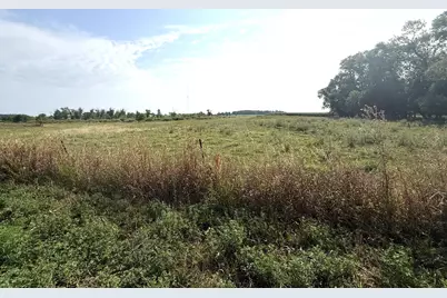 Tbd County Road 7, Howard Lake, MN 55349 - Photo 7