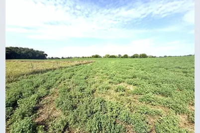 Tbd County Road 7, Howard Lake, MN 55349 - Photo 13