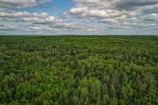 Tbd 219th Ave, Bemidji, MN 56601 - Photo 1