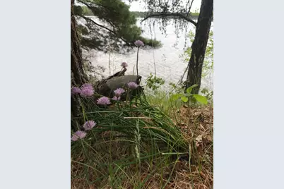 Tbd Excelsior Island, Crosslake, MN 56442 - Photo 17