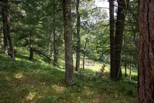 1444 Plummer Point Rd NE, Outing, MN 56662 - Photo 39