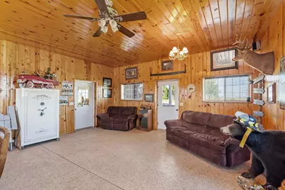 46445 250th Street, Gaylord, MN 55334 - Photo 37