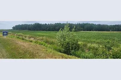 Tbd 340th Avenue NE, Goodridge, MN 56725 - Photo 3