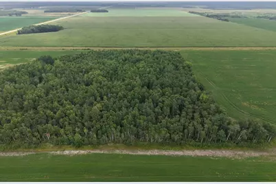 Tbd 340th Avenue NE, Goodridge, MN 56725 - Photo 5