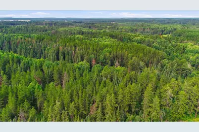 Tbd Mestek Rd, Hibbing, MN 55746 - Photo 9