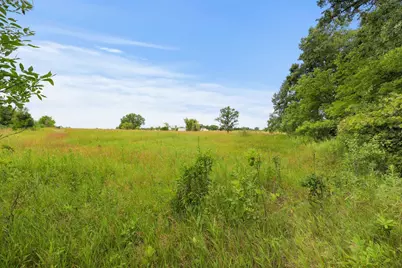 Tbd 350th Street, Shafer, MN 55074 - Photo 3