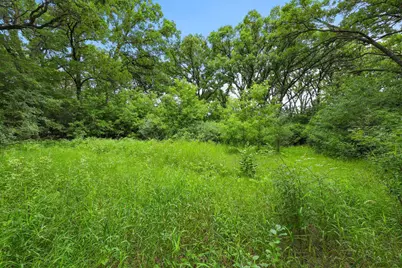 Tbd 350th Street, Shafer, MN 55074 - Photo 7