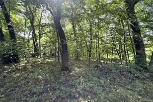 35689 Adams Pt Trl, Frazee, MN 56544 - Photo 61