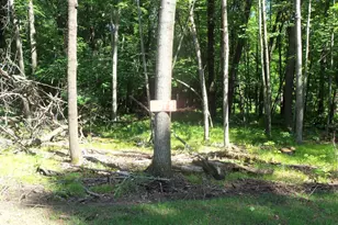 Lot 2 Howard Johnson Trail, Siren, WI 54872 - Photo 1