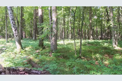 Lot 2 Howard Johnson Trl, Siren, WI 54872 - Photo 5