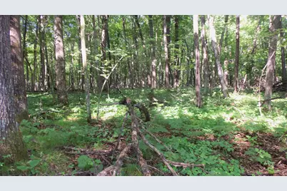 Lot 2 Howard Johnson Trl, Siren, WI 54872 - Photo 7