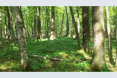 Lot 2 Howard Johnson Trl, Siren, WI 54872 - Photo 9