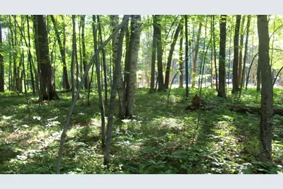 Lot 3 Howard Johnson Trl, Siren, WI 54872 - Photo 9