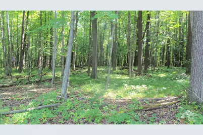 Lot 6 Howard Johnson Trl, Siren, WI 54872 - Photo 3
