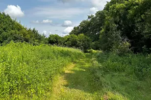 52404 320th St, Blooming Prairie, MN 55917 - Photo 23