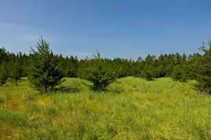 39794 259th Ave, Menahga, MN 56464 - Photo 67