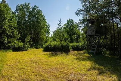 39794 259th Avenue, Menahga, MN 56464 - Photo 95