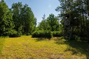 39794 259th Ave, Menahga, MN 56464 - Photo 95