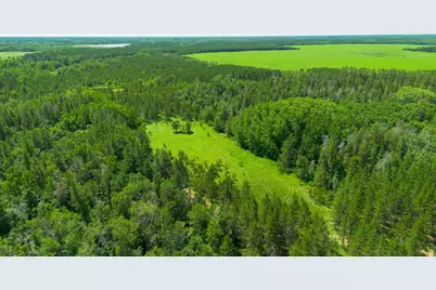39794 259th Avenue, Menahga, MN 56464 - Photo 37