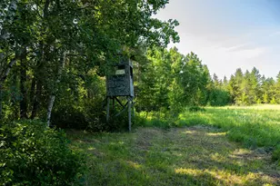 39794 259th Ave, Menahga, MN 56464 - Photo 85