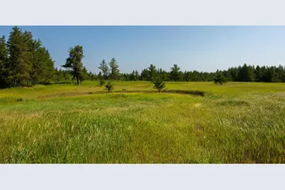 39794 259th Avenue, Menahga, MN 56464 - Photo 51