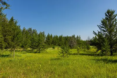 39794 259th Avenue, Menahga, MN 56464 - Photo 49