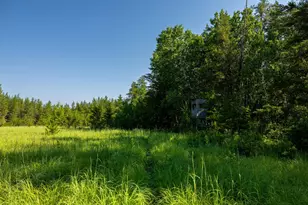39794 259th Ave, Menahga, MN 56464 - Photo 91