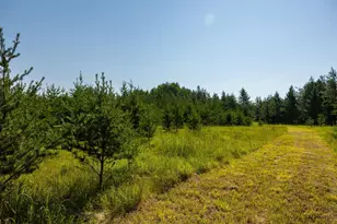 39794 259th Ave, Menahga, MN 56464 - Photo 93