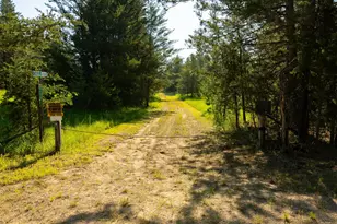 39794 259th Ave, Menahga, MN 56464 - Photo 39