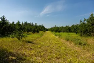 39794 259th Ave, Menahga, MN 56464 - Photo 55