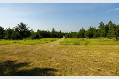 39794 259th Avenue, Menahga, MN 56464 - Photo 45
